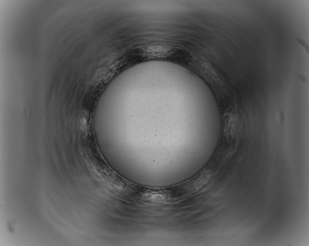 X0000099940655200806061519