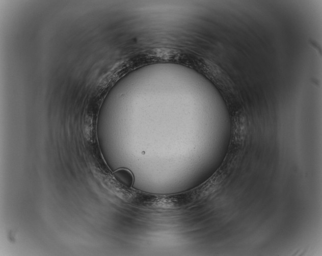 X0000099940656200806061519
