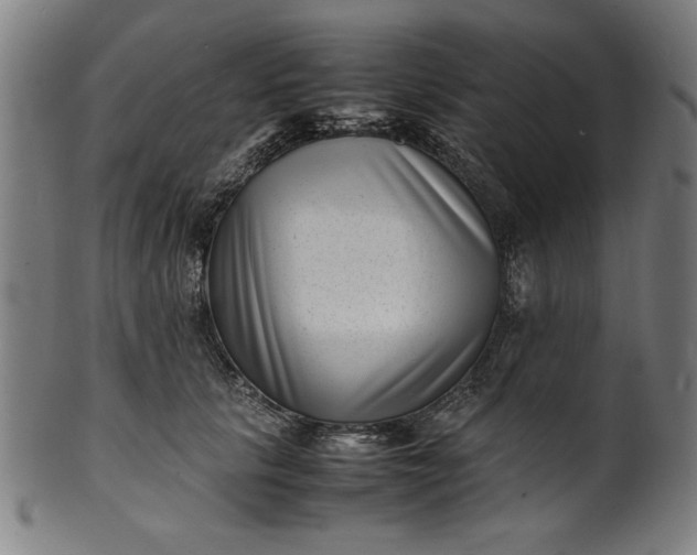 X0000099940657200806061519