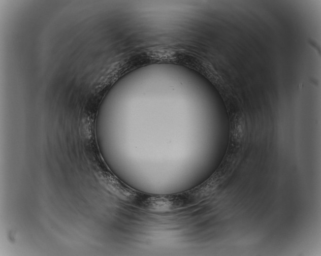 X0000099940658200806061519
