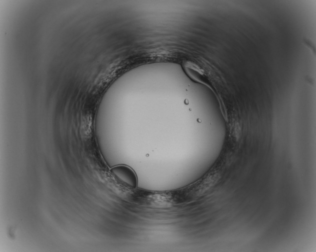 X0000099940660200806061519