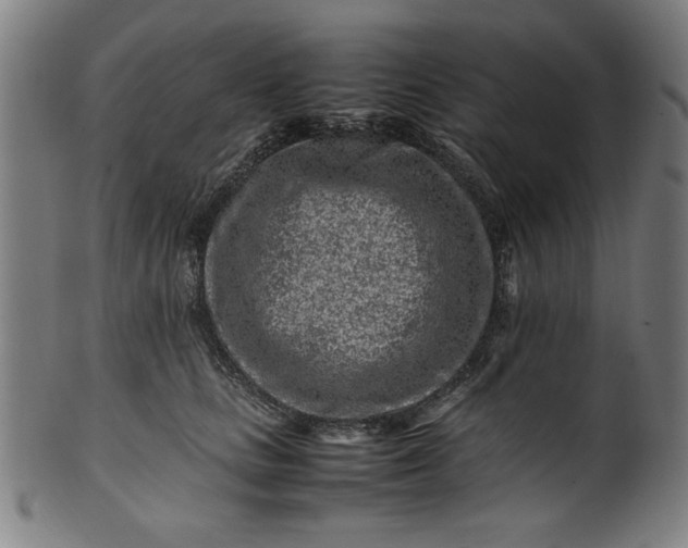 X0000099940661200806061519