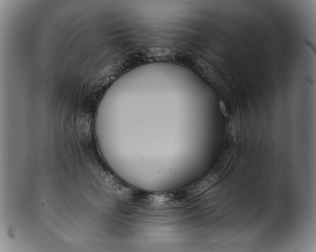 X0000099940662200806061519