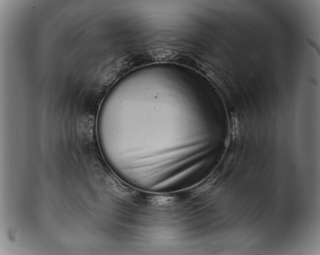 X0000099940664200806061519