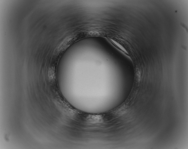 X0000099940665200806061519