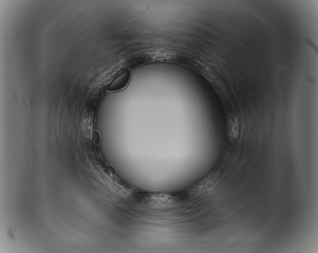 X0000099940666200806061519