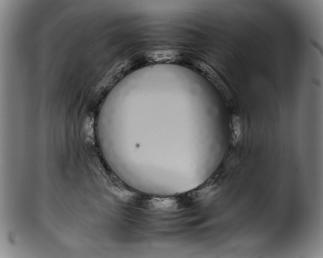 X0000099940667200806061519