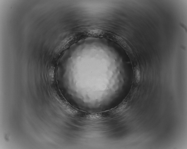 X0000099940668200806061519