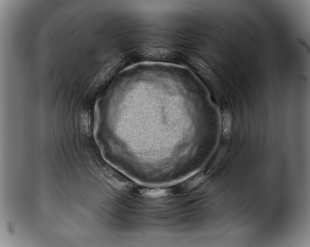 X0000099940669200806061519