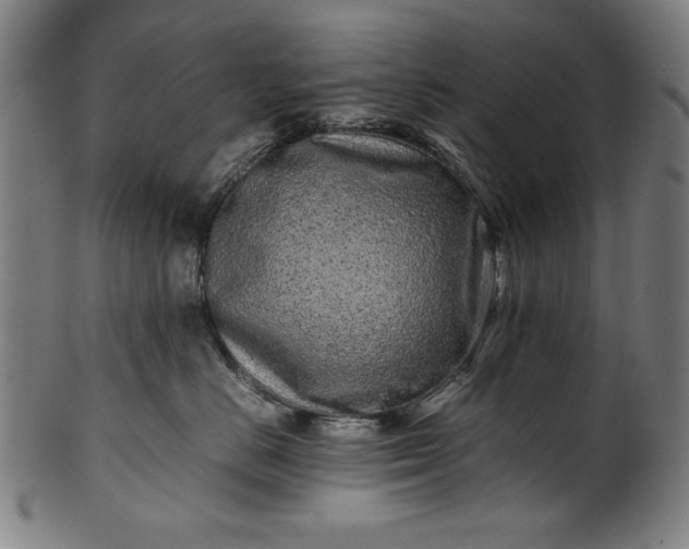X0000099940670200806061519