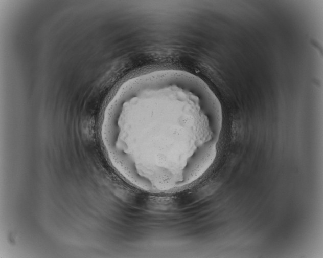 X0000099940671200806061519