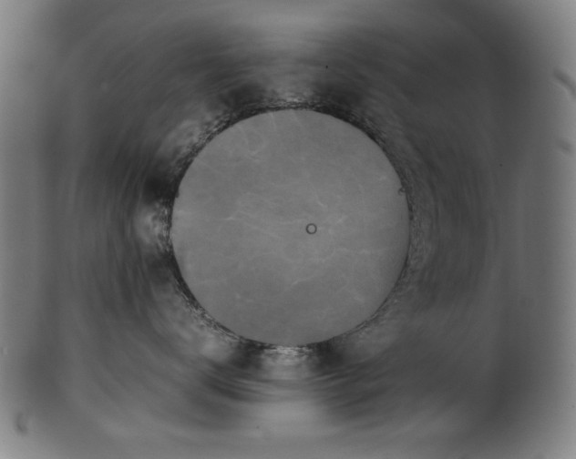 X0000099940672200806061519
