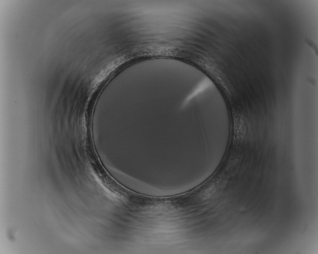 X0000099940674200806061519