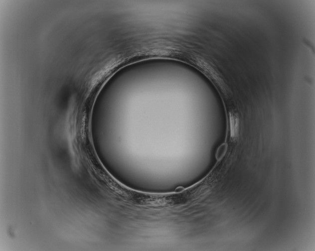 X0000099940675200806061519