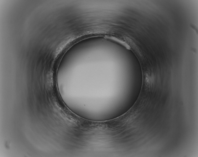 X0000099940676200806061519