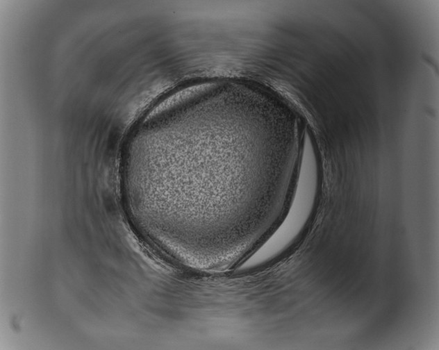 X0000099940677200806061519