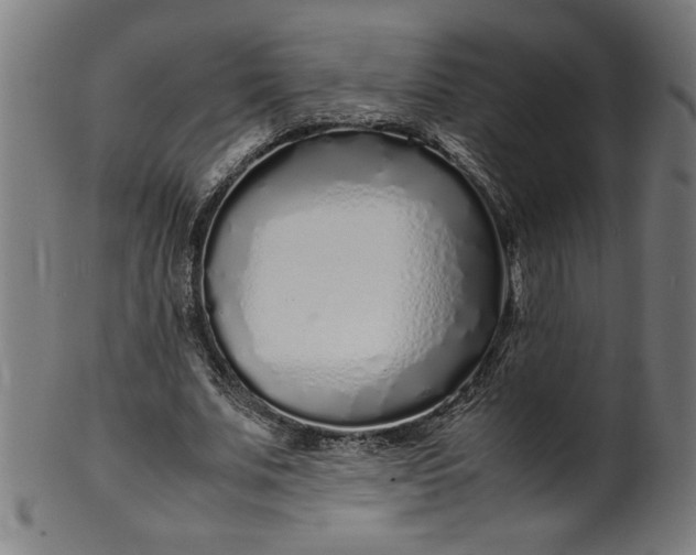 X0000099940679200806061518