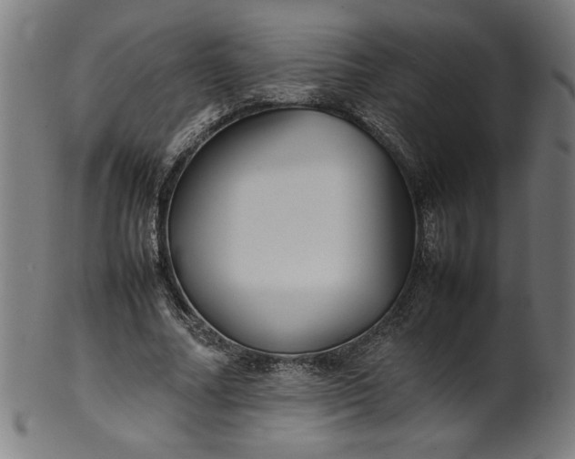 X0000099940682200806061518