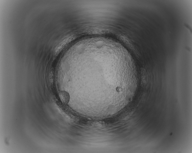 X0000099940683200806061518