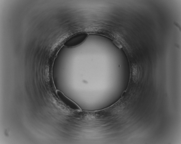 X0000099940684200806061518