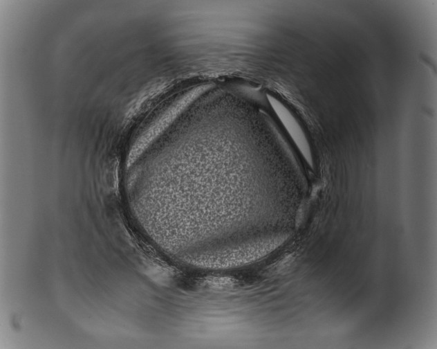 X0000099940685200806061518