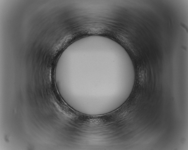 X0000099940686200806061518