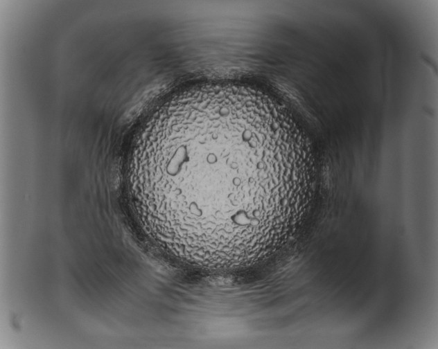 X0000099940687200806061518