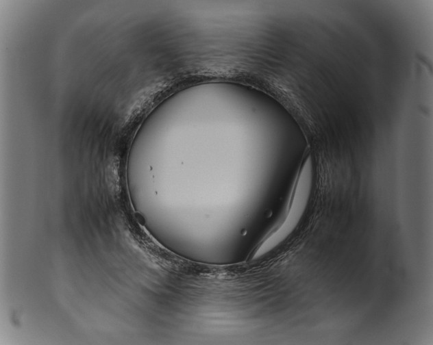 X0000099940688200806061518