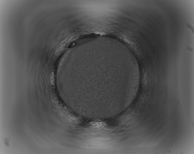 X0000099940689200806061518