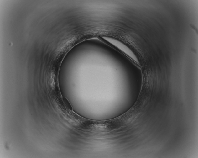 X0000099940692200806061518