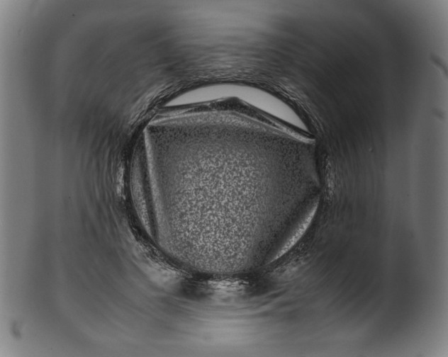 X0000099940693200806061518