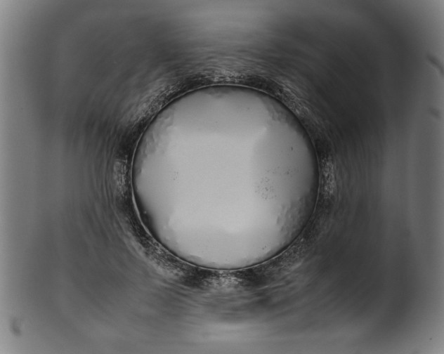 X0000099940695200806061518