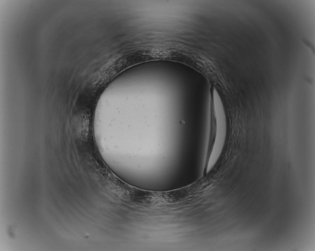 X0000099940697200806061518
