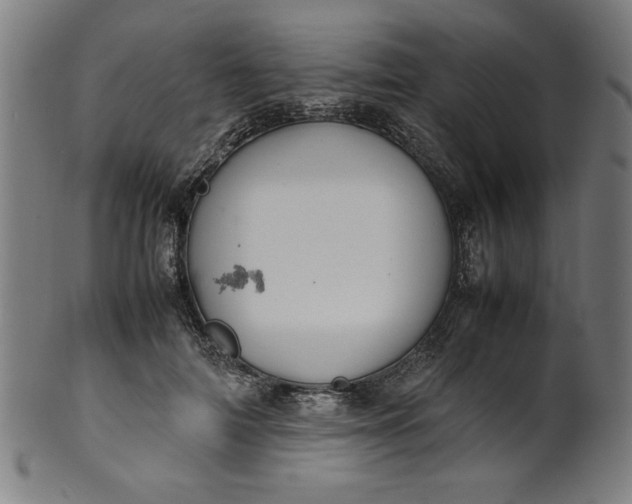 X0000099940698200806061518