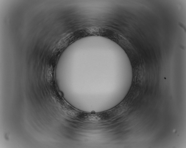 X0000099940702200806061518
