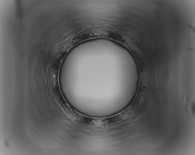 X0000099940703200806061518
