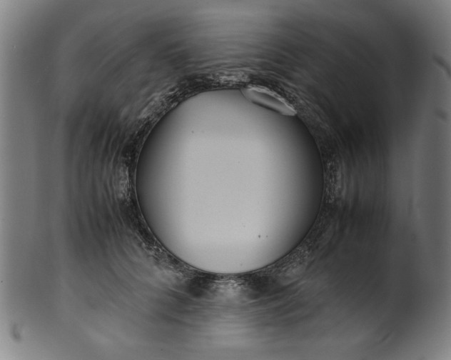 X0000099940704200806061518