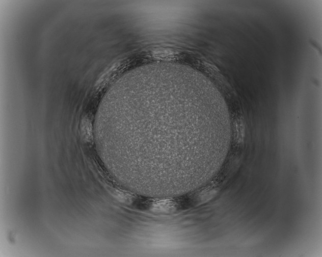 X0000099940705200806061518