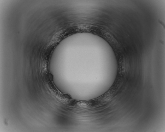 X0000099940706200806061518
