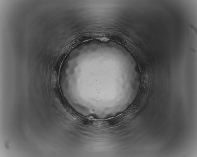 X0000099940707200806061518