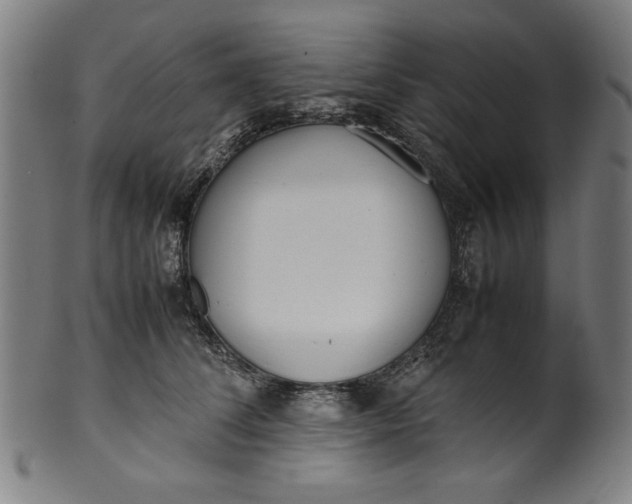X0000099940708200806061518