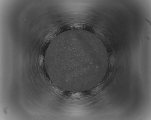 X0000099940709200806061518