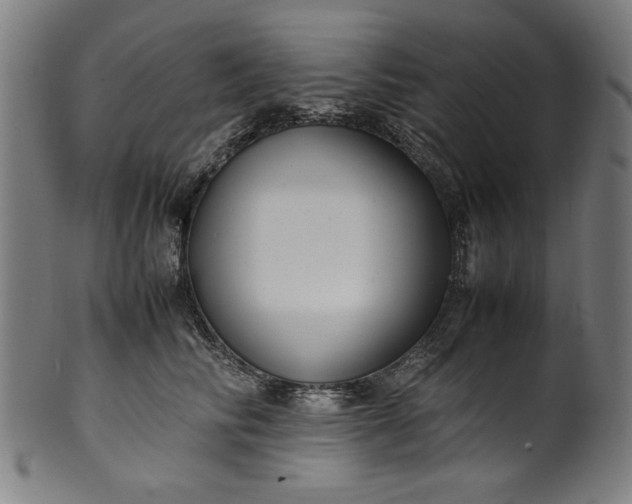 X0000099940710200806061518