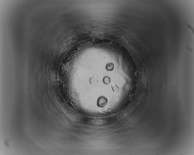X0000099940711200806061518