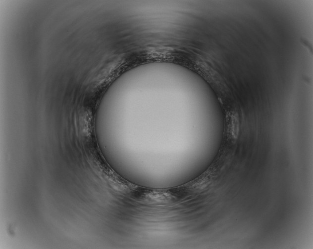 X0000099940712200806061518