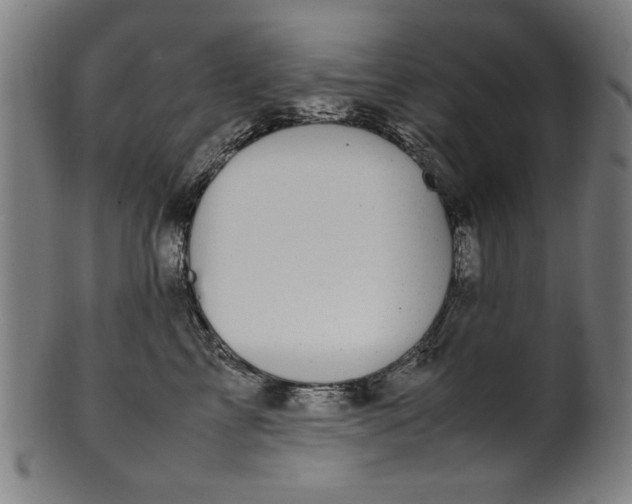 X0000099940713200806061518