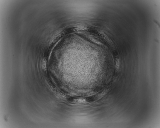 X0000099940715200806061518