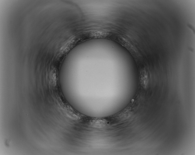 X0000099940716200806061518