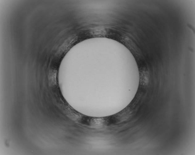 X0000099940717200806061518
