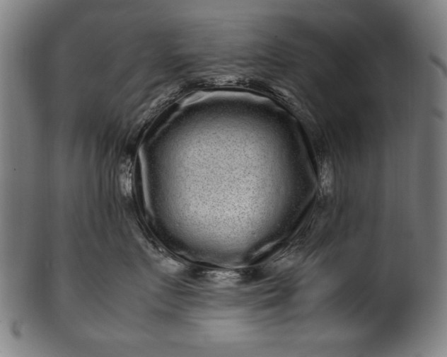 X0000099940719200806061518